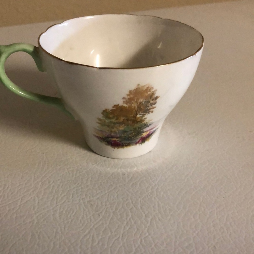 Vintage bone China tea cup collectible.